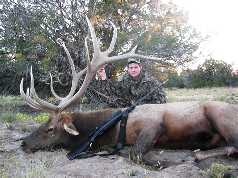 This is for guide services only. . Indian reservation elk hunting